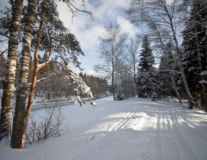 Внешний вид и территория - Отель Country Resort / Кантри Резорт
