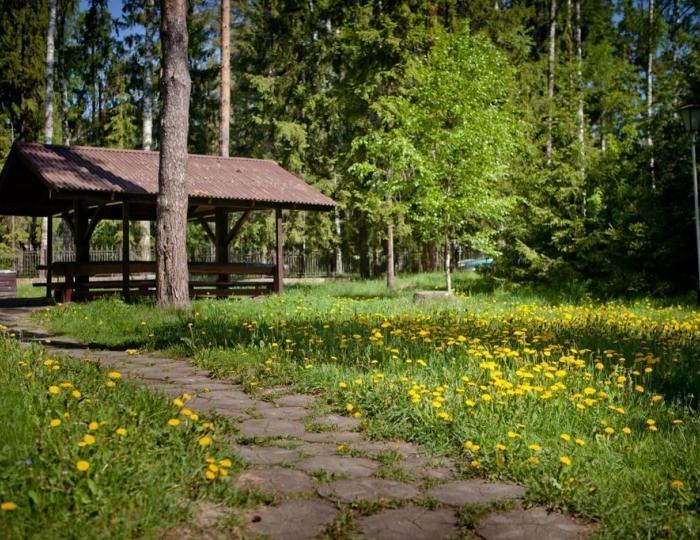 Большая площадка с мангалом - Отель Country Resort / Кантри Резорт Большая площадка с мангалом - Отель Country Resort / Кантри Резорт