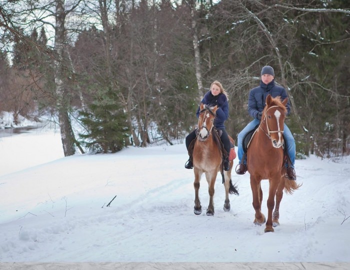 Катание на лошадях - Отель Country Resort / Кантри Резорт